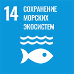 Цель 14. Сохранение морских экосистем
